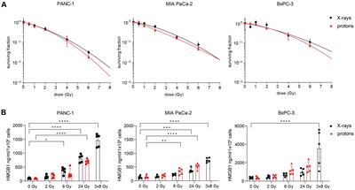 Cytosolic nucleic acid sensors and interferon beta-1 activation drive radiation-induced anti-tumour immune effects in human pancreatic cancer cells